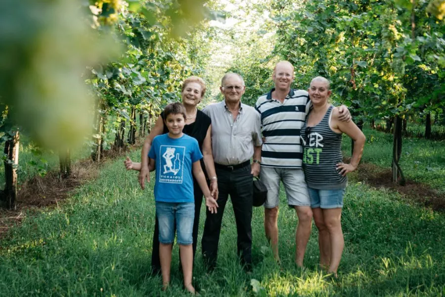 Immagine Vini Bellese 3 Immagine Vini Bellese 3