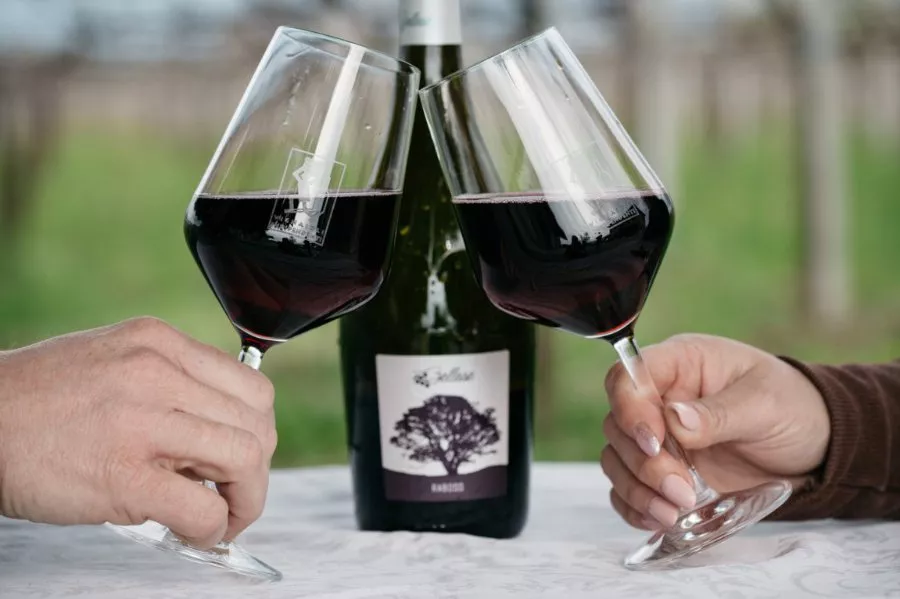 Immagine Vini Bellese 5 Immagine Vini Bellese 5