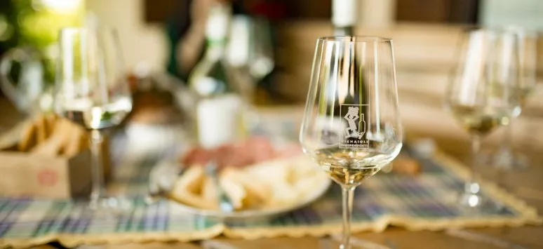 Immagine visita Bellussera Erlebnis im Weinberg Bellese cantina Vini Bellese Immagine visita Bellussera Erlebnis im Weinberg Bellese cantina Vini Bellese