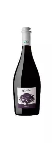 Immagine vino Raboso Piave IGT del Veneto Immagine vino Raboso Piave IGT del Veneto