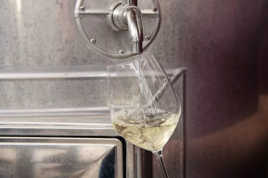 Immagine Visita in cantina con degustazione 3 vini e nostre conserve 9 Immagine Visita in cantina con degustazione 3 vini e nostre conserve 9