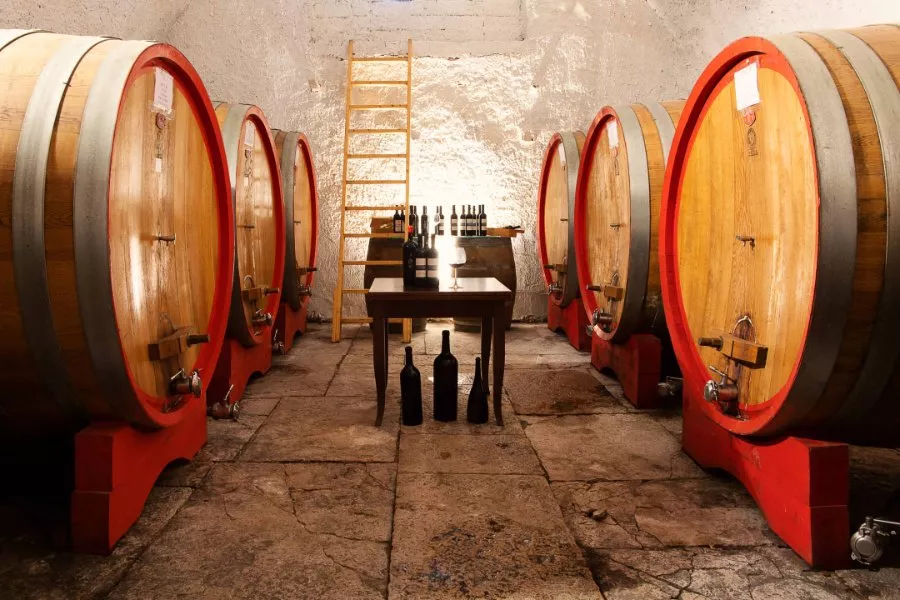Immagine Visita in cantina con degustazione 3 vini e nostre conserve 10 Immagine Visita in cantina con degustazione 3 vini e nostre conserve 10