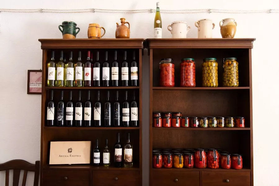 Immagine Visita in cantina con degustazione 3 vini e nostre conserve 11 Immagine Visita in cantina con degustazione 3 vini e nostre conserve 11