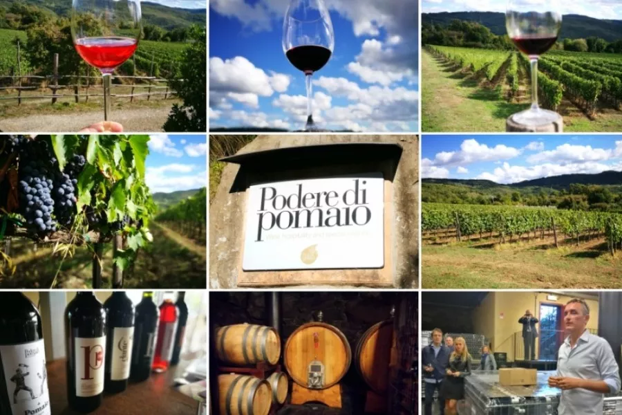 Immagine Podere di Pomaio 18 Immagine Podere di Pomaio 18
