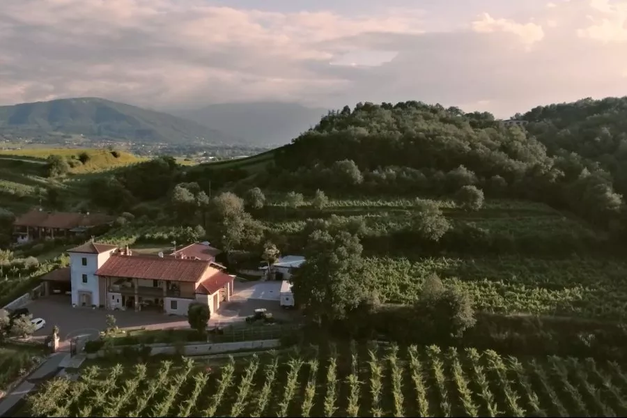 Immagine Cantina Vigna Dorata 5 Immagine Cantina Vigna Dorata 5