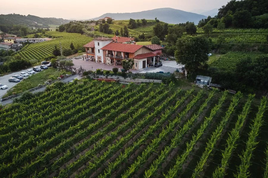 Immagine Cantina Vigna Dorata 8 Immagine Cantina Vigna Dorata 8