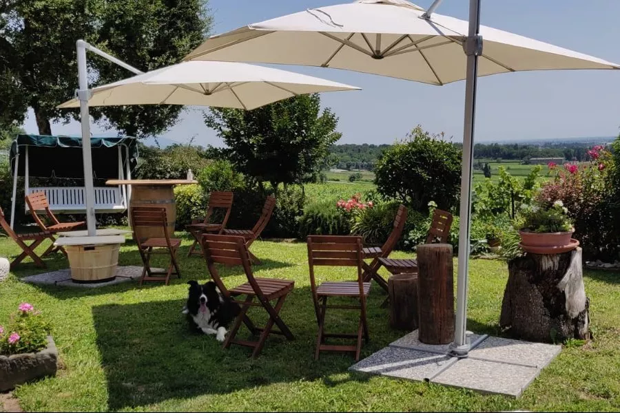 Immagine Cantina Vigna Dorata 17 Immagine Cantina Vigna Dorata 17