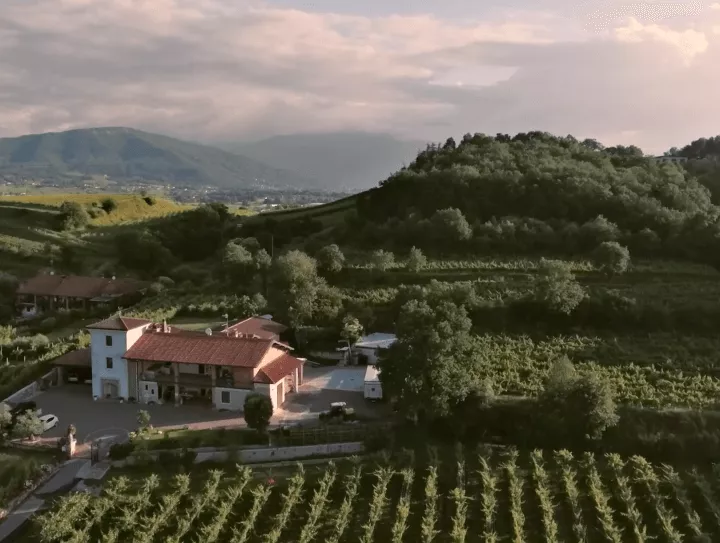 Immagine Cantina Vigna Dorata 2