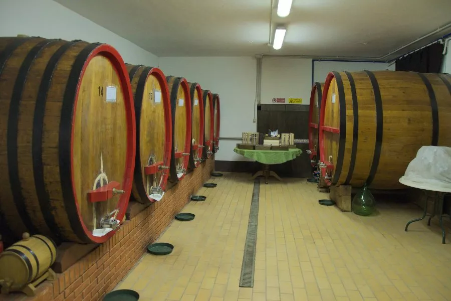 Immagine Visita in cantina con degustazione 2 calici 11 Immagine Visita in cantina con degustazione 2 calici 11
