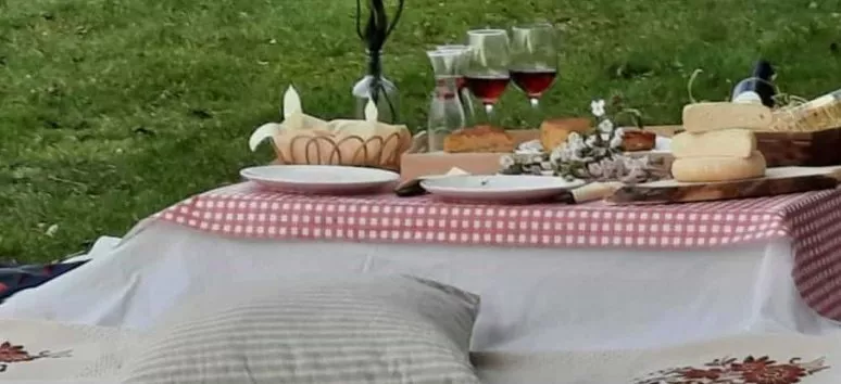 Immagine visita Non un semplice picnic nel vigneto cantina Madonna Dell'Uva