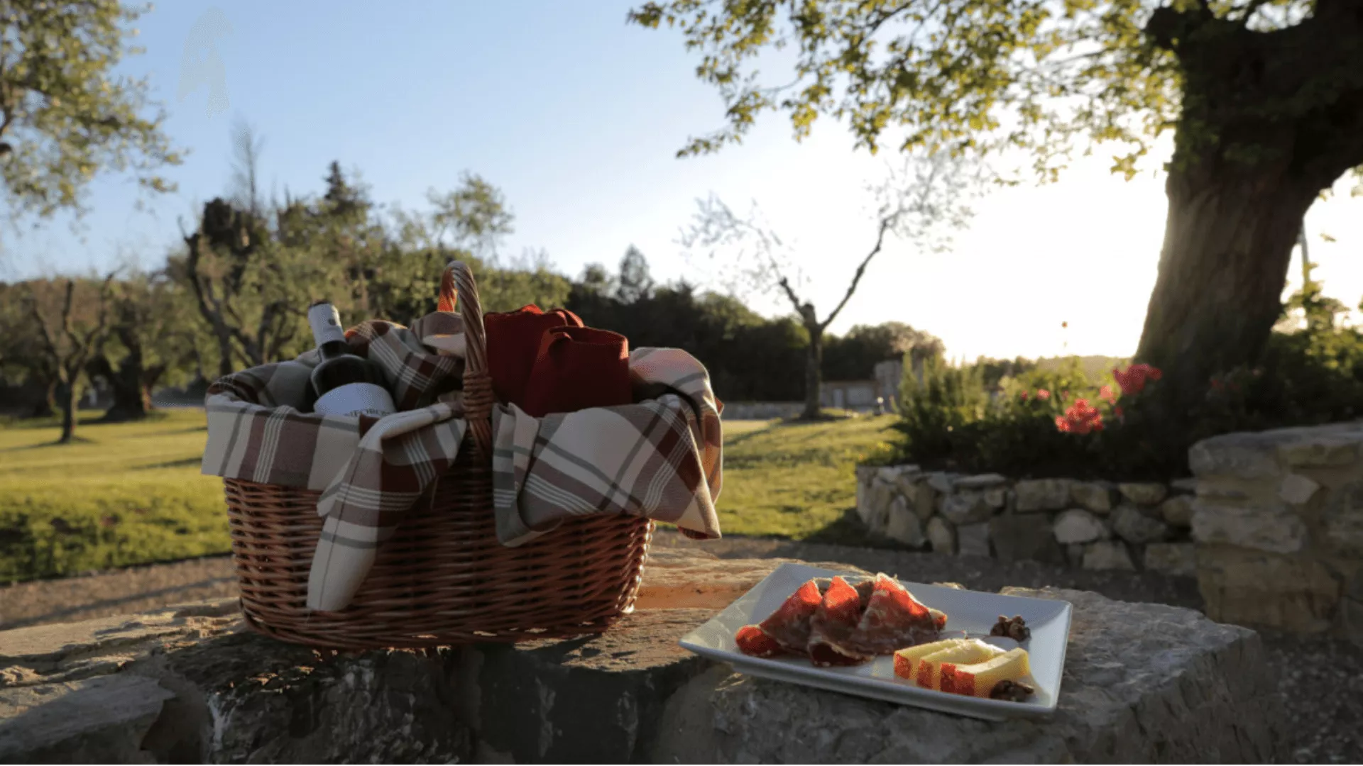 Immagine cantina Agricola Boschetto Campacci