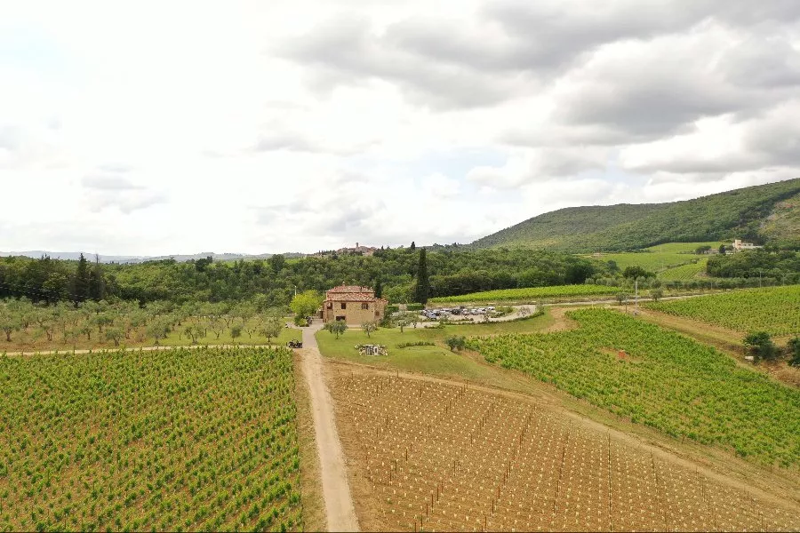 Immagine Agricola Boschetto Campacci 5