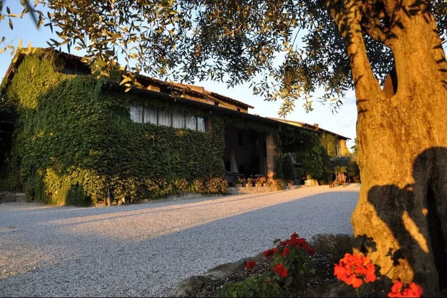 Immagine Degustazione leggera 15 Immagine Degustazione leggera 15