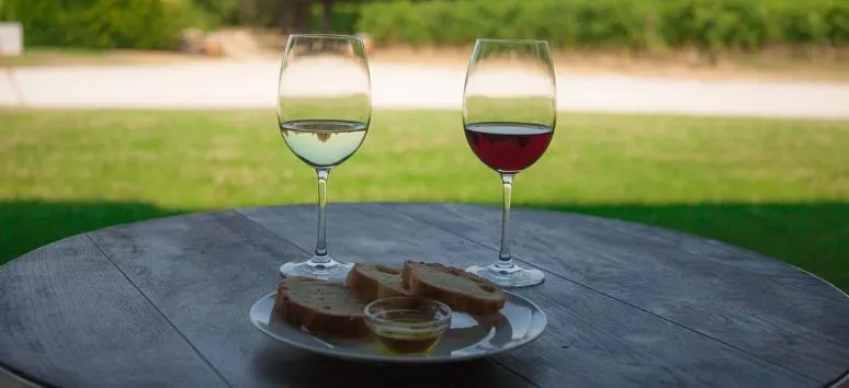 Immagine visita Degustazione leggera cantina Podere Selva Capuzza