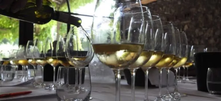 Immagine visita Degustazione rinforzata cantina Podere Selva Capuzza Immagine visita Degustazione rinforzata cantina Podere Selva Capuzza