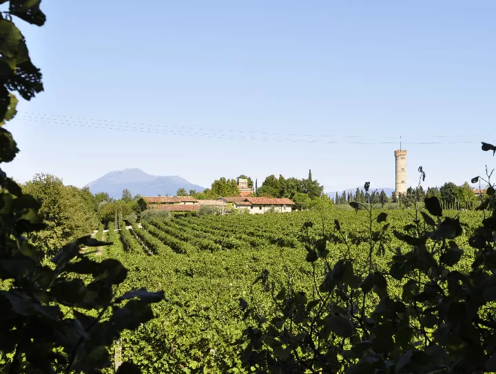Immagine Podere Selva Capuzza 2 Immagine Podere Selva Capuzza 2