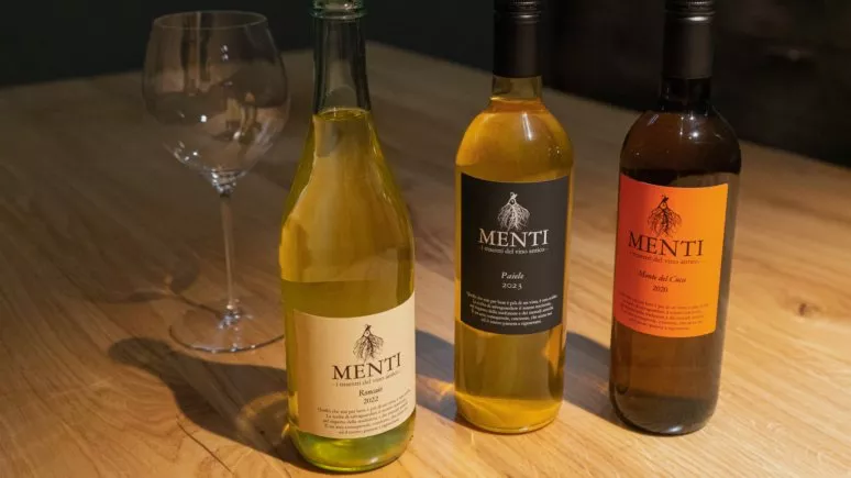 Immagine visita Terroir Erfahrung cantina Menti Giovanni Immagine visita Terroir Erfahrung cantina Menti Giovanni