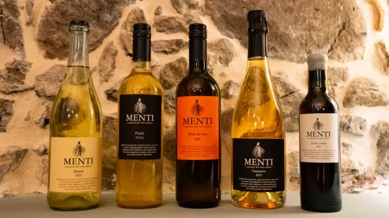 Immagine visita Erfahrung im gesamten Spektrum cantina Menti Giovanni