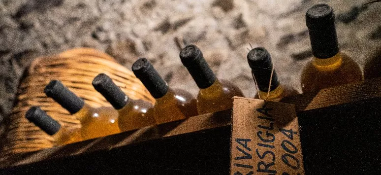 Immagine visita Evolution erleben cantina Menti Giovanni