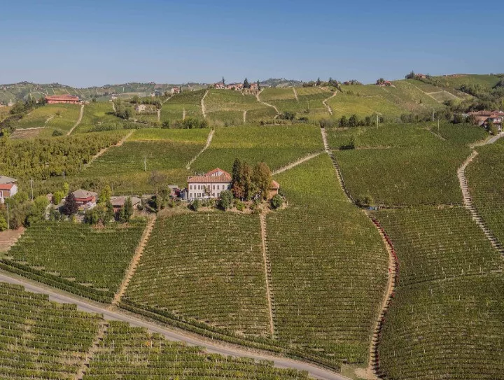 Immagine AZIENDA AGRICOLA MASSIMO RIVETTI 1 Immagine AZIENDA AGRICOLA MASSIMO RIVETTI 1