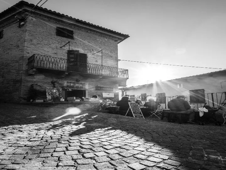 Immagine AZIENDA AGRICOLA MASSIMO RIVETTI 12