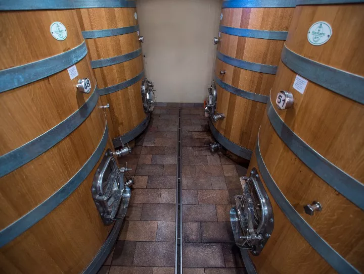Immagine AZIENDA AGRICOLA MASSIMO RIVETTI 13