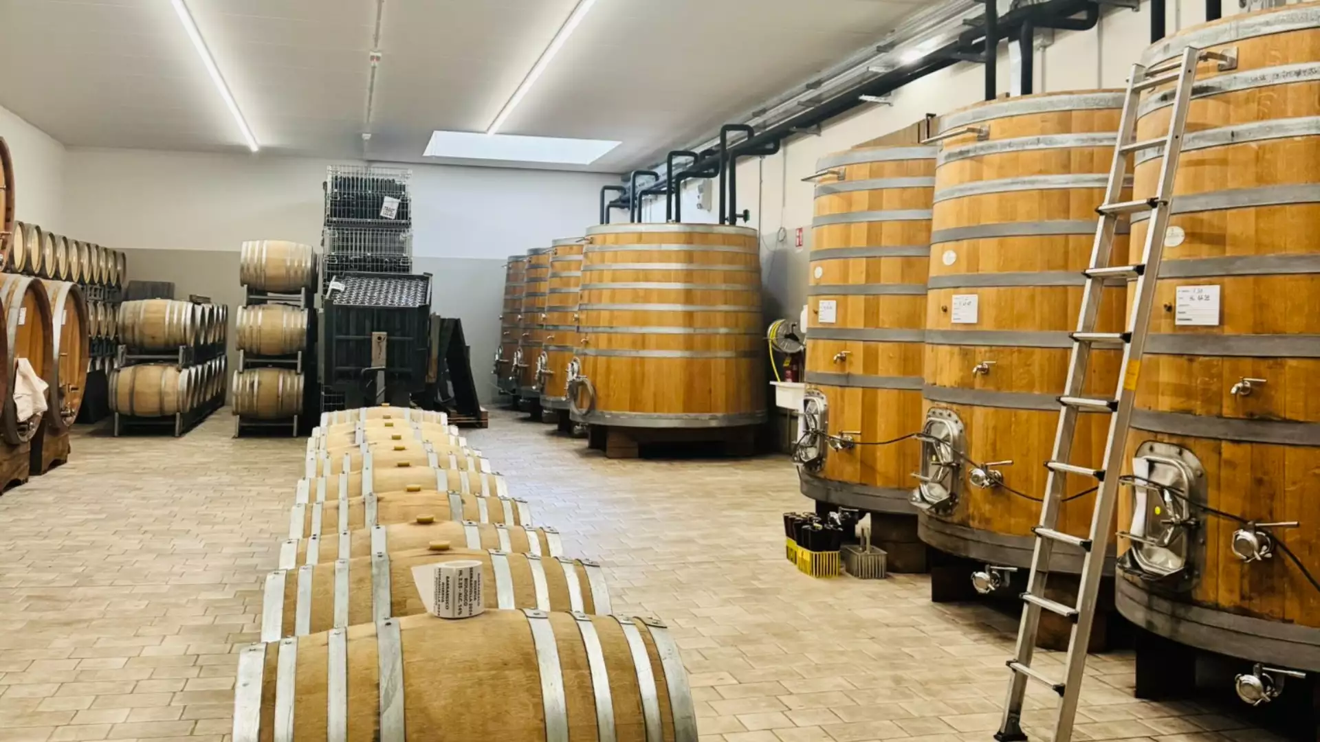 Immagine AZIENDA AGRICOLA MASSIMO RIVETTI 15