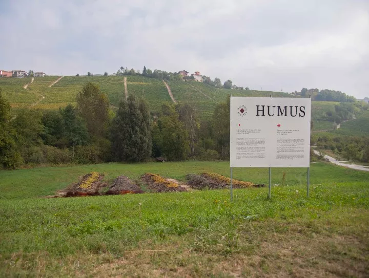 Immagine AZIENDA AGRICOLA MASSIMO RIVETTI 17