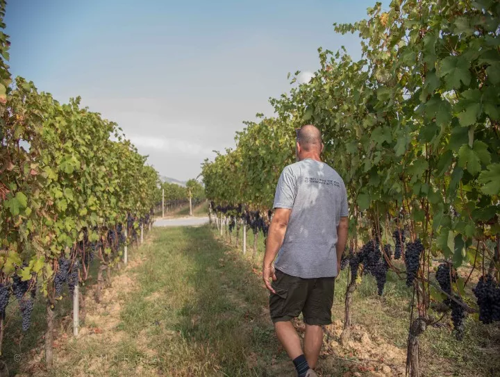 Immagine AZIENDA AGRICOLA MASSIMO RIVETTI 18