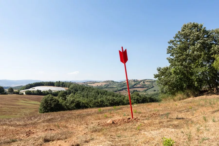 Immagine Fattoria La Maliosa 3 Immagine Fattoria La Maliosa 3