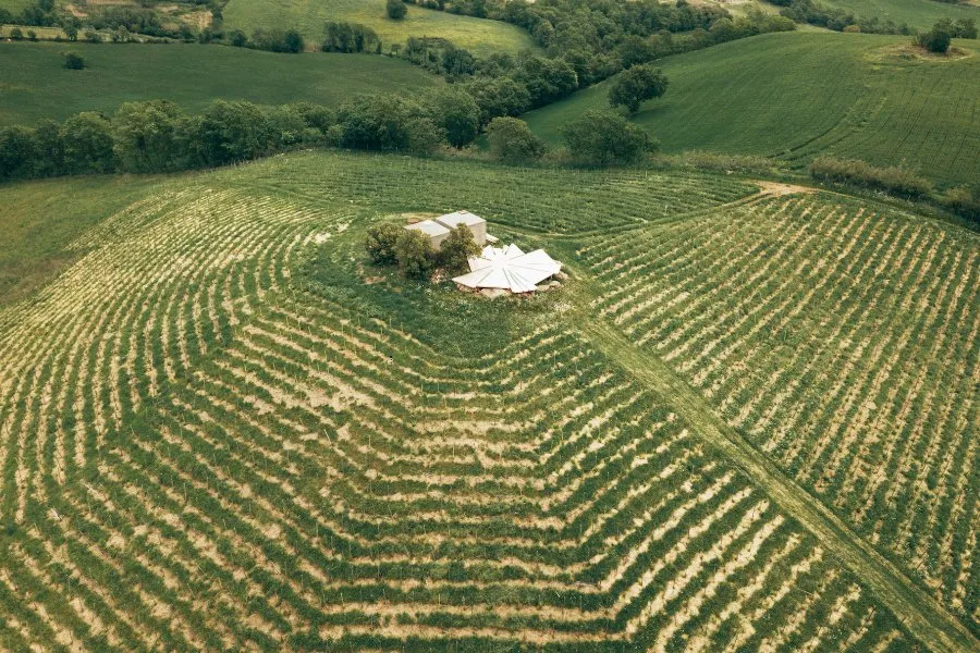 Immagine Fattoria La Maliosa 8 Immagine Fattoria La Maliosa 8