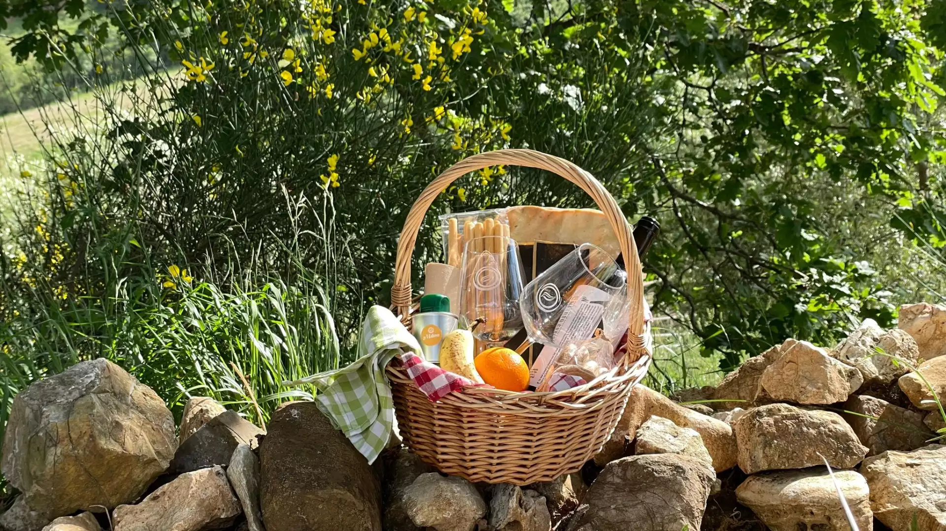 Immagine visita Lunch picnic tra le colline della Maremma toscana  cantina Fattoria La Maliosa