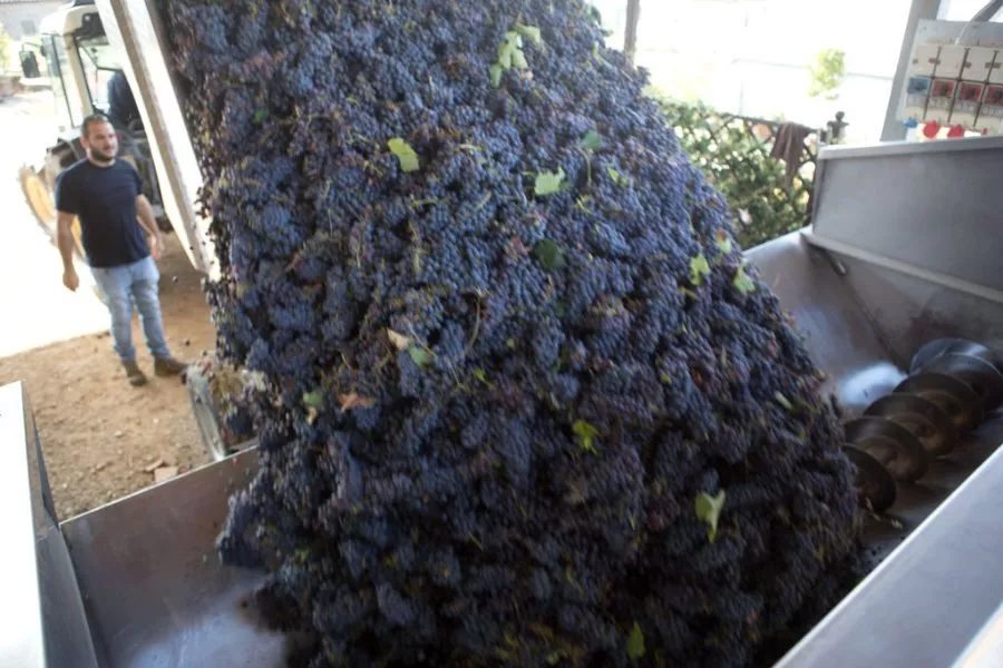 Immagine Terre di Perseto 15 Immagine Terre di Perseto 15