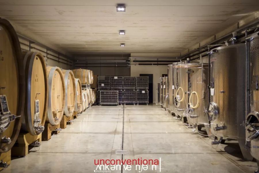 Immagine Cantina Enrico Crola 4