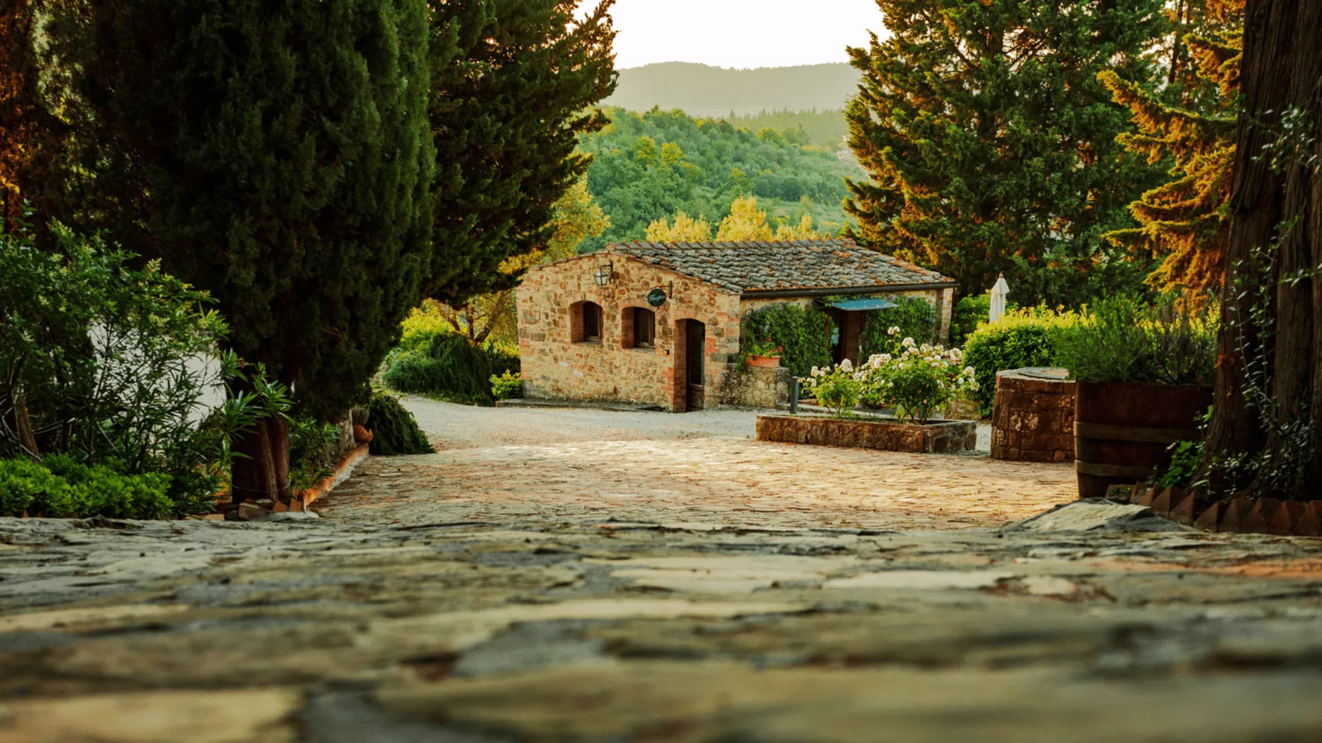 Immagine Tagliere 2