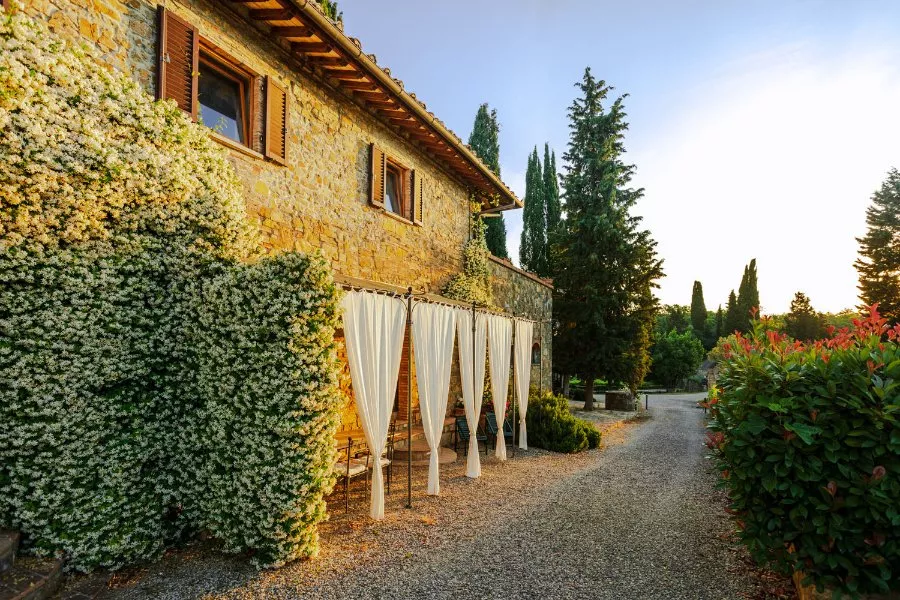 Immagine Tagliere 15