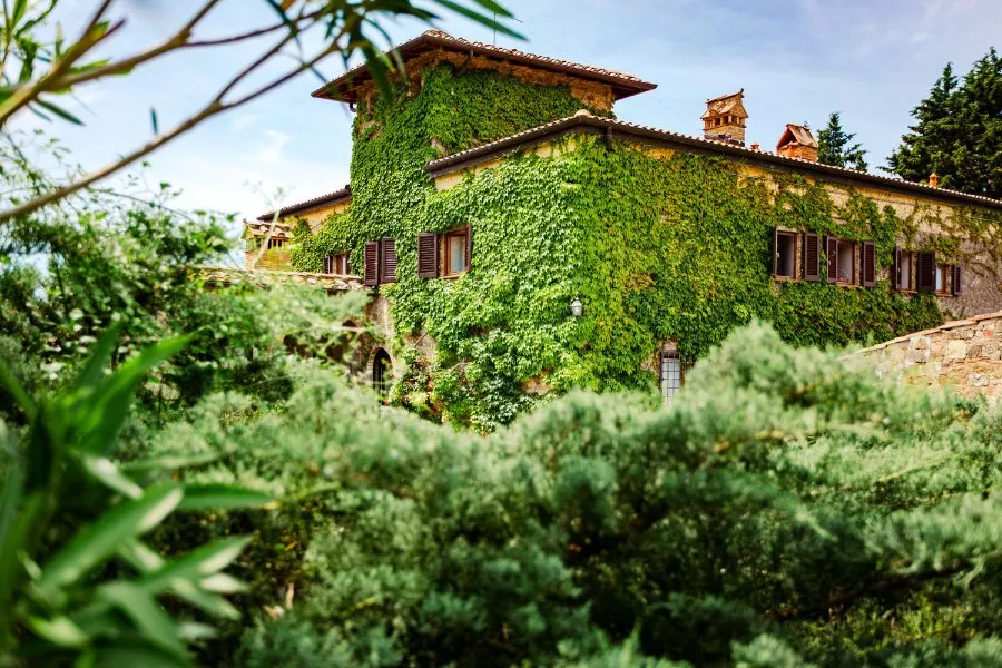 Immagine Tagliere 16