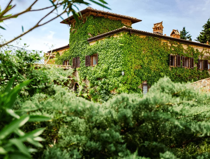 Immagine Tagliere 3