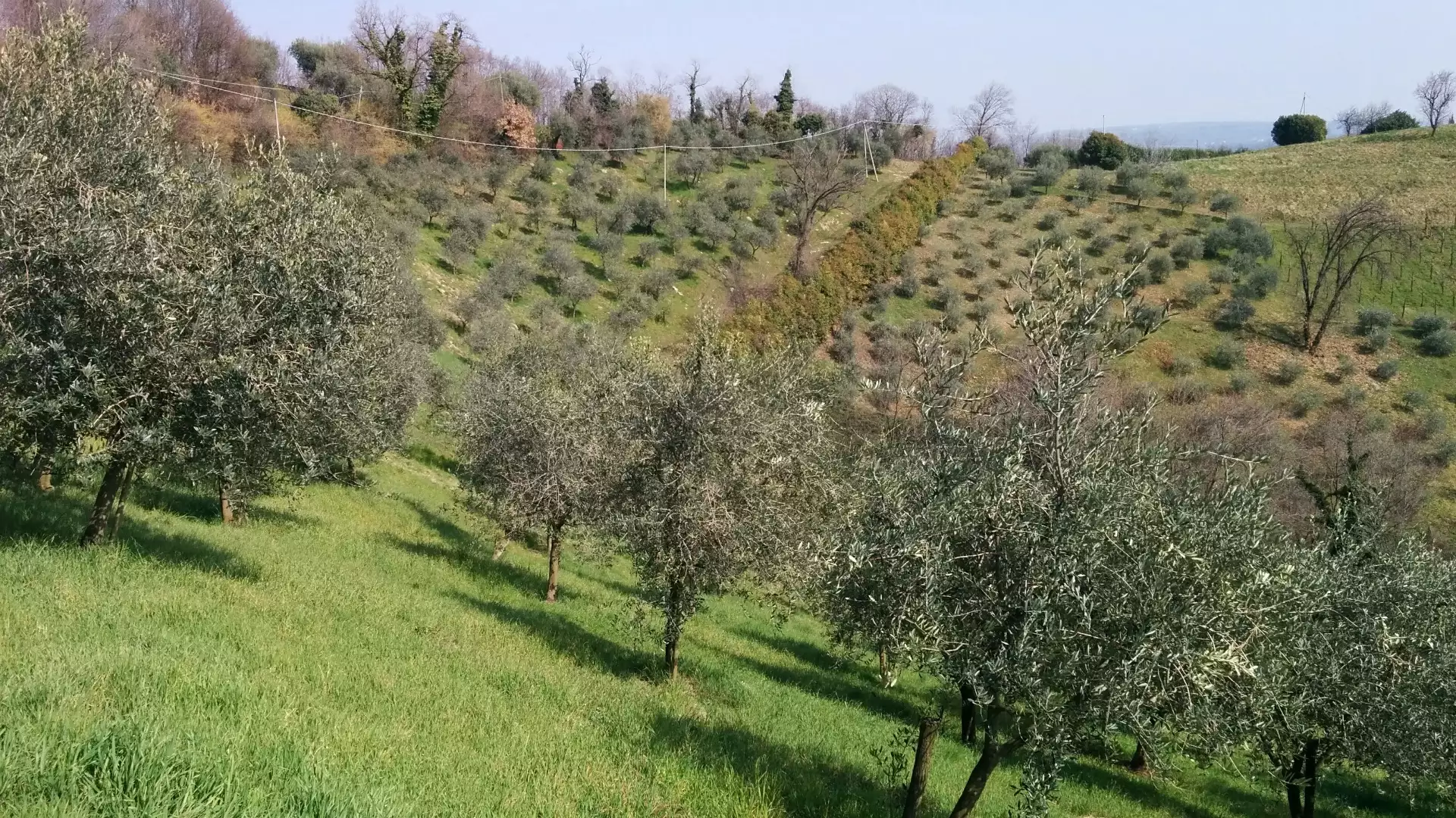 Immagine Dalla storia al bicchiere 10