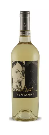 Bottiglia Vernaccia San Gimignano DOCG Ventanni Bottiglia Vernaccia San Gimignano DOCG Ventanni