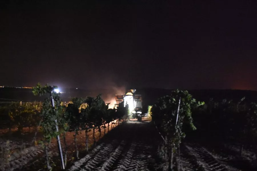 Immagine Terre di Noto 6 Immagine Terre di Noto 6