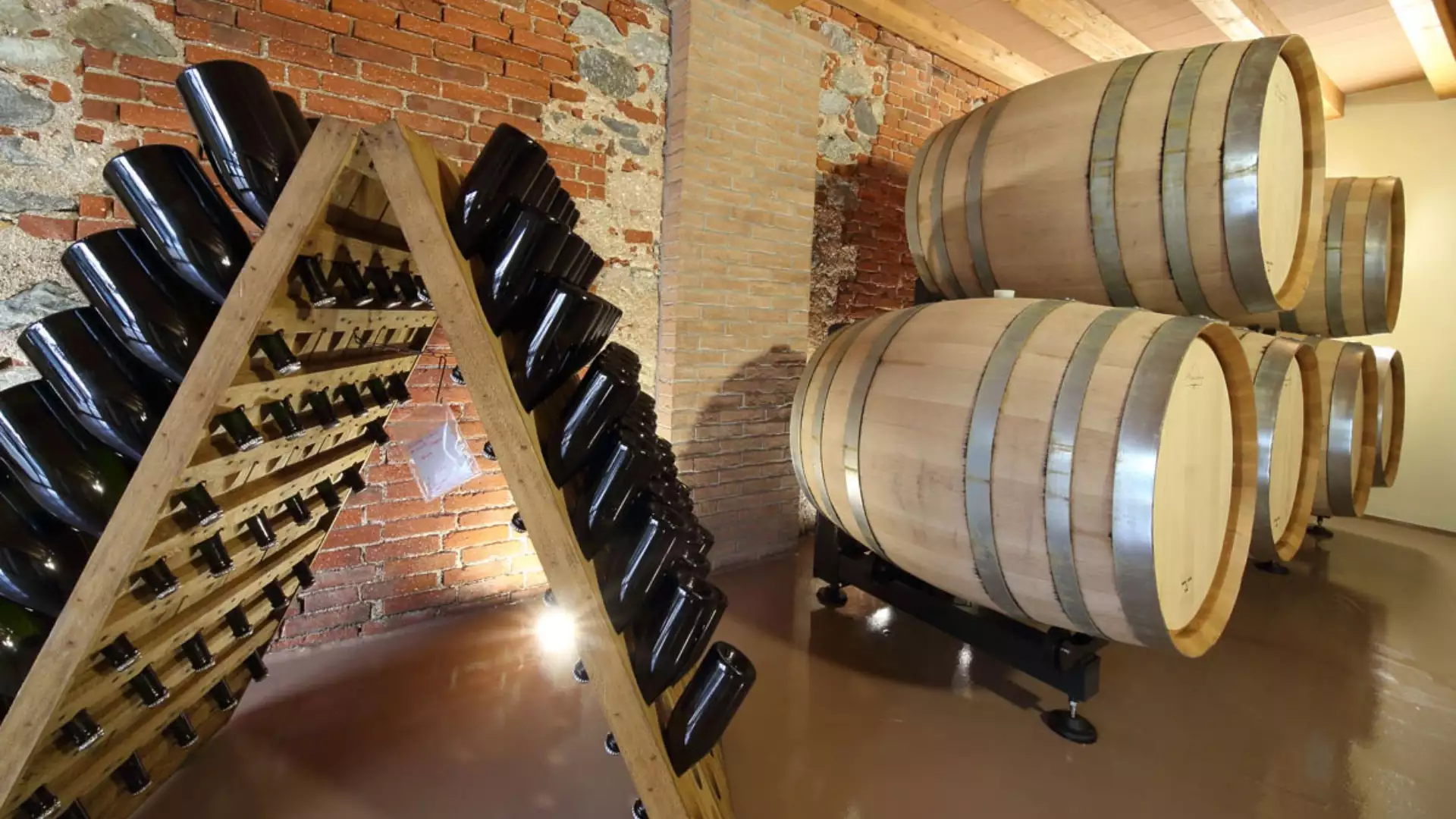 cantina Terre del Creario
