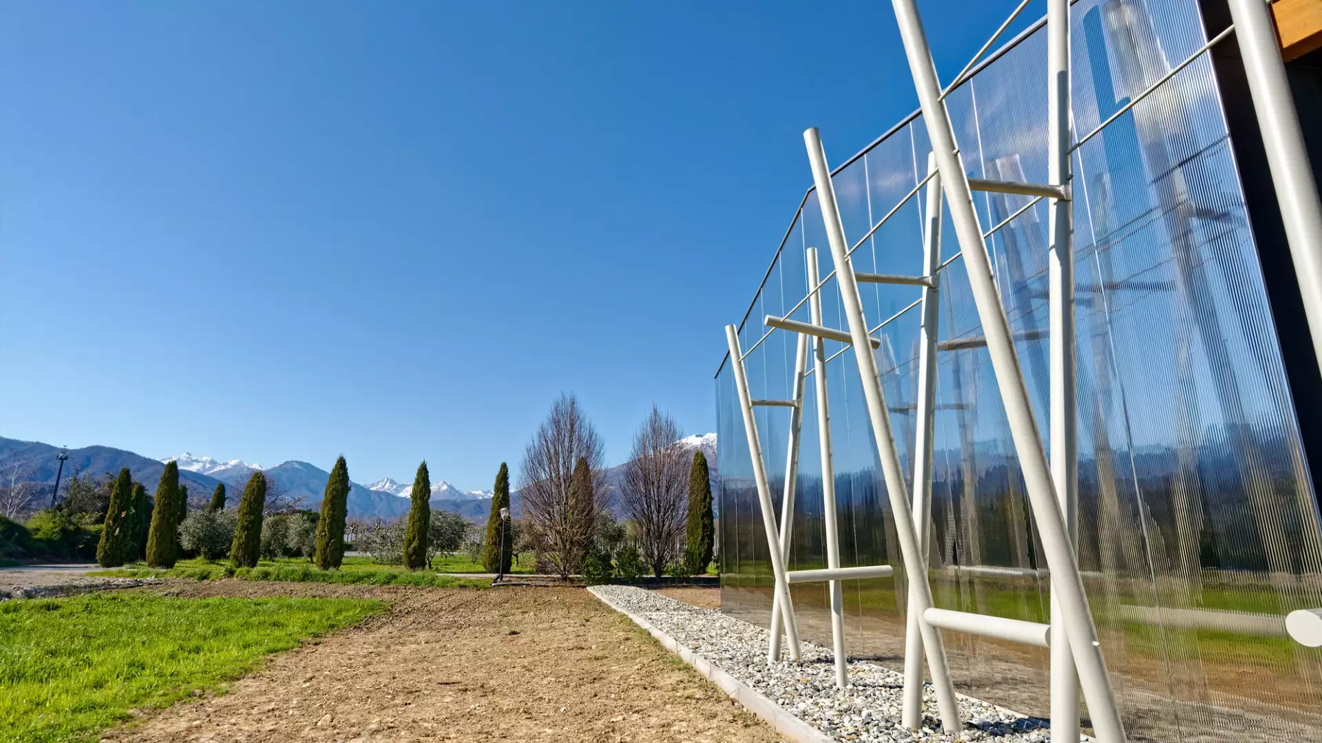 Immagine visita Radici del Creario cantina Terre del Creario