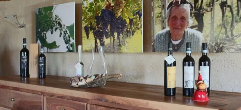 Immagine visita Visita in azienda cantina La Psigula
