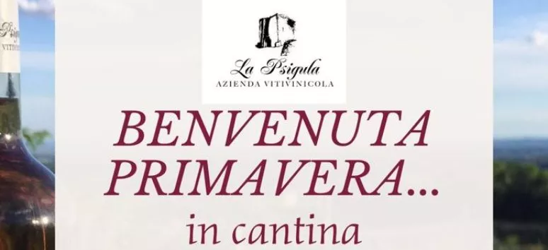 Immagine visita Benvenuta primavera...in cantina cantina La Psigula