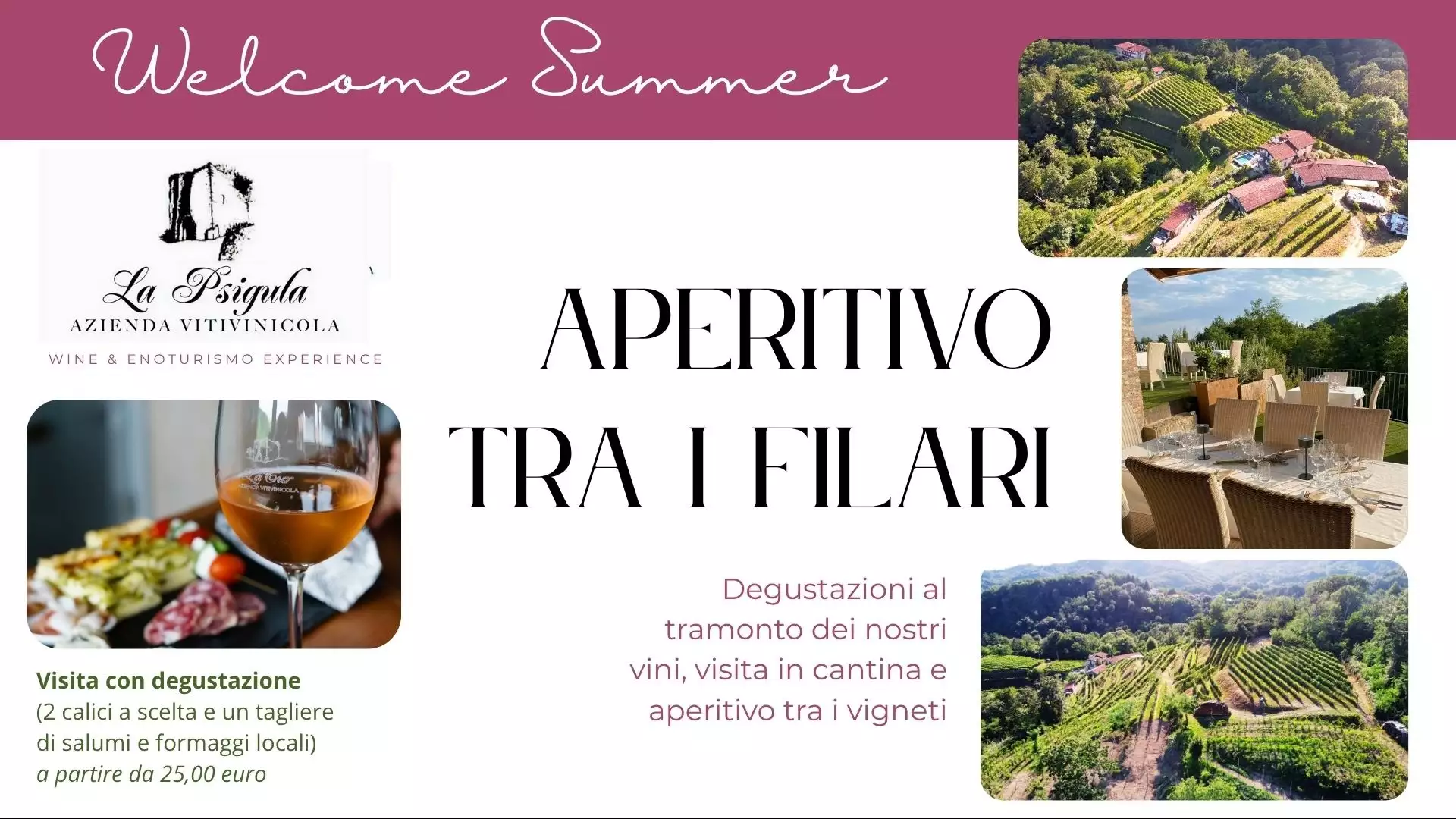 Immagine visita AperiWine tra i filari cantina La Psigula