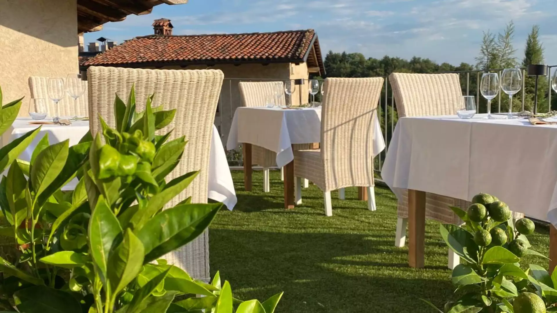 Immagine AperiWine tra i filari 3 Immagine AperiWine tra i filari 3
