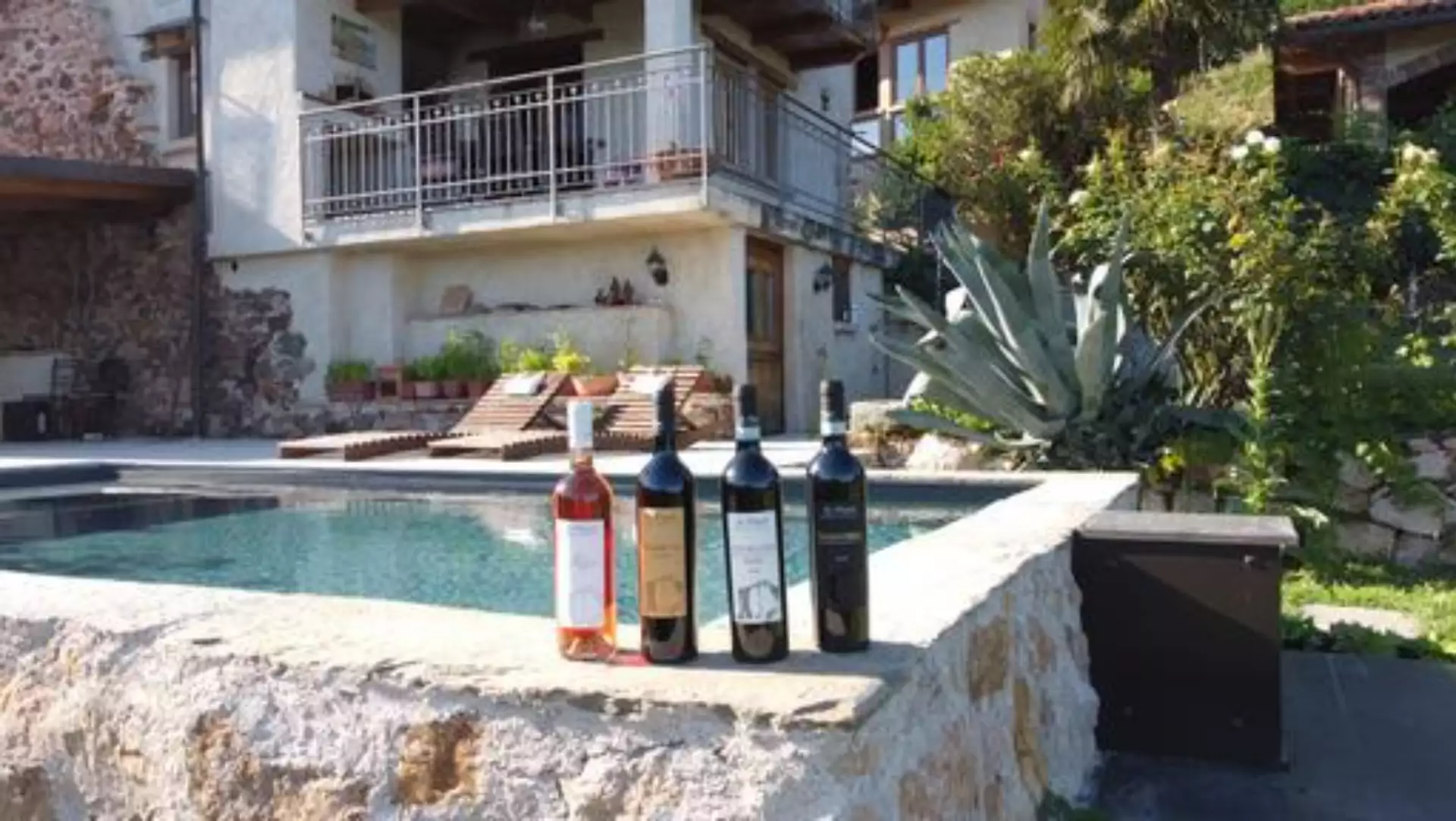 Immagine AperiWine tra i filari 10 Immagine AperiWine tra i filari 10