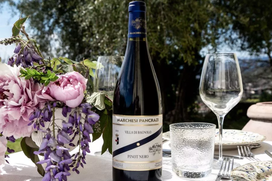 Immagine Die Entdeckung des Weinguts Bagnolo und seines Pinot Noir 6