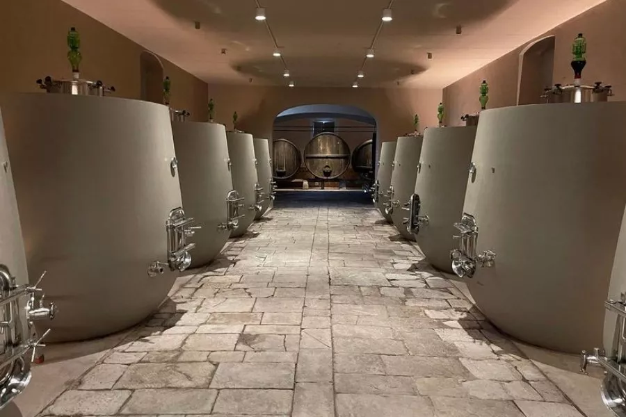 Immagine Die Entdeckung des Weinguts Bagnolo und seines Pinot Noir 8